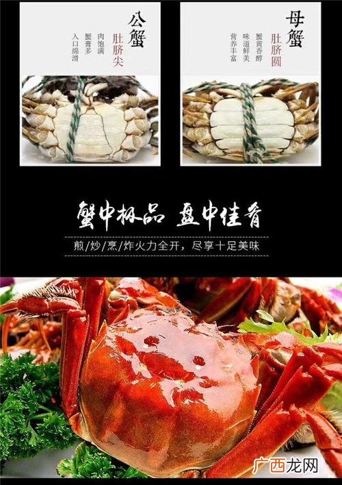 2020年中国水产养殖博览会 2019年水产养殖博览会