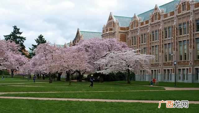 美国华盛顿大学历年排名多少（美国华盛顿大学