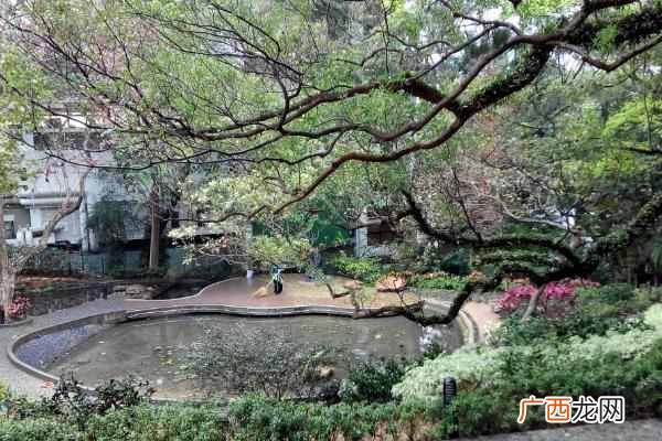 香港城市大学简介 香港城市大学算名校吗