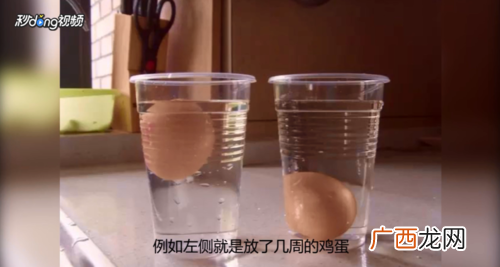 小鸡孵化器多少钱一台 火鸡孵化技术