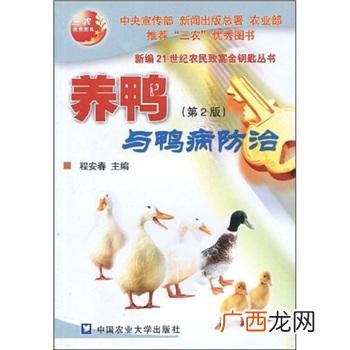 新手养鸭子怎么养 养鸭技术与鸭病的防治