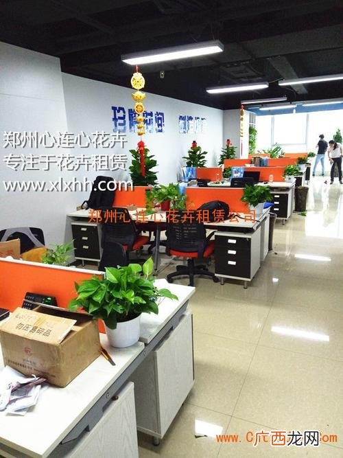 绿植盆栽租赁 郑州花卉租赁租摆