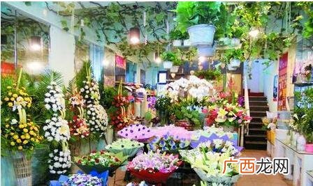 开盆栽花卉店利润怎样 在线花卉如何经营