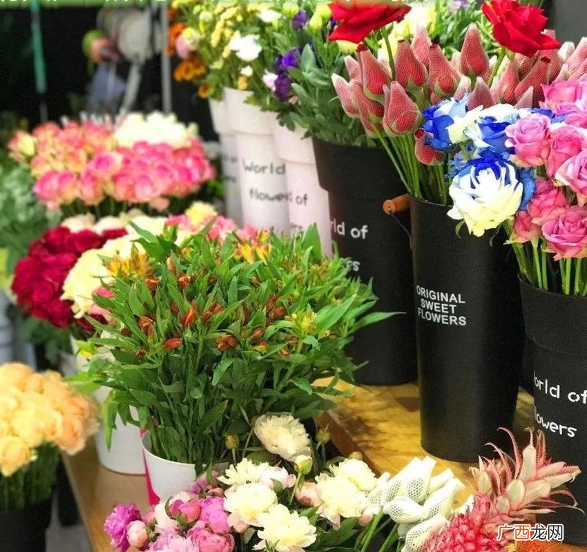 开盆栽花卉店利润怎样 在线花卉如何经营