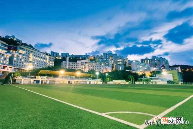 香港科技大学本地排名情况怎么样（香港科技大