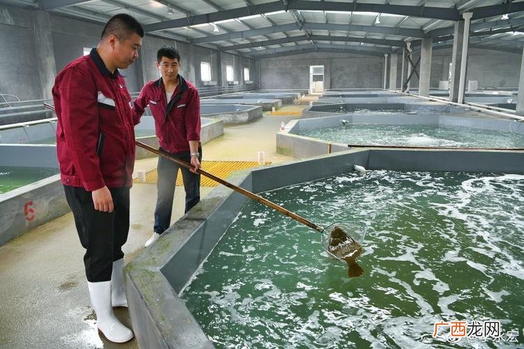 同鑫水产市场营业时间 大连水产市场公司