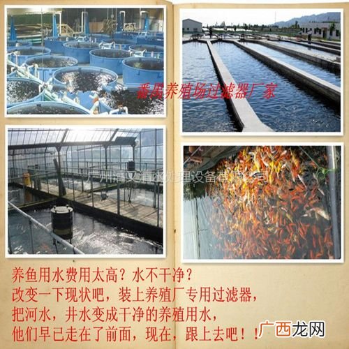 惠州市畜牧局 百色市水产畜牧业协会