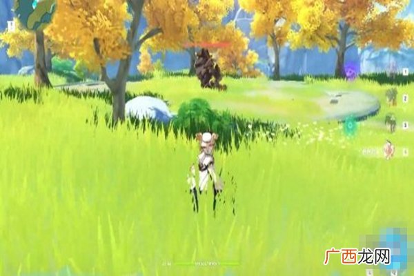 原神丘丘岩盔王分布位置图文介绍