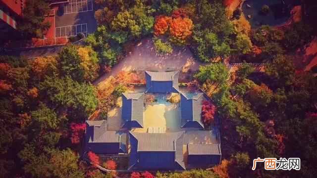 启明大学在哪个国家（启明大学本科留学费用需