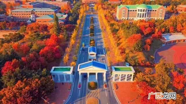 启明大学在哪个国家（启明大学本科留学费用需