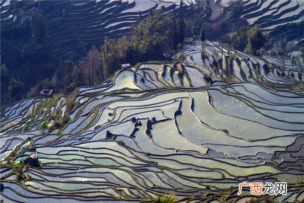 云南九大著名景点排行榜