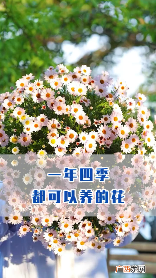 常见100种花卉 四月花卉品种