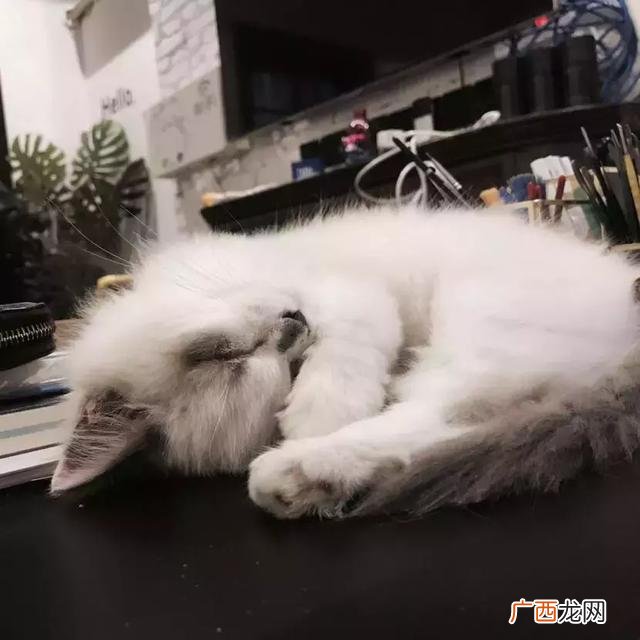 上海有正规的手工活外发 华新领手工活回家做