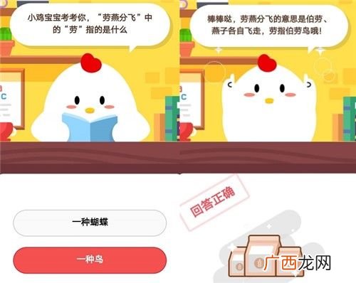 小鸡宝宝考考你，劳燕分飞中的劳指的是什么?