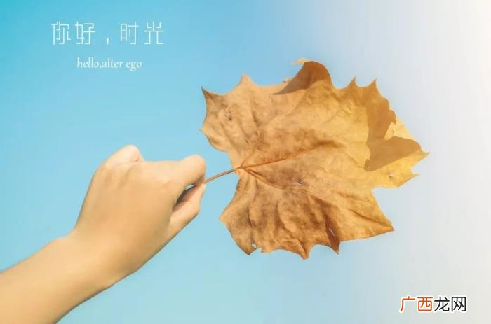 50句超唯美的宝藏短句 优美句子短句