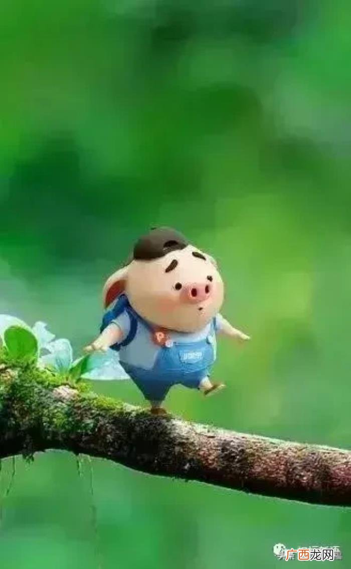 愿我们的友谊地久天长 关于友谊的图片