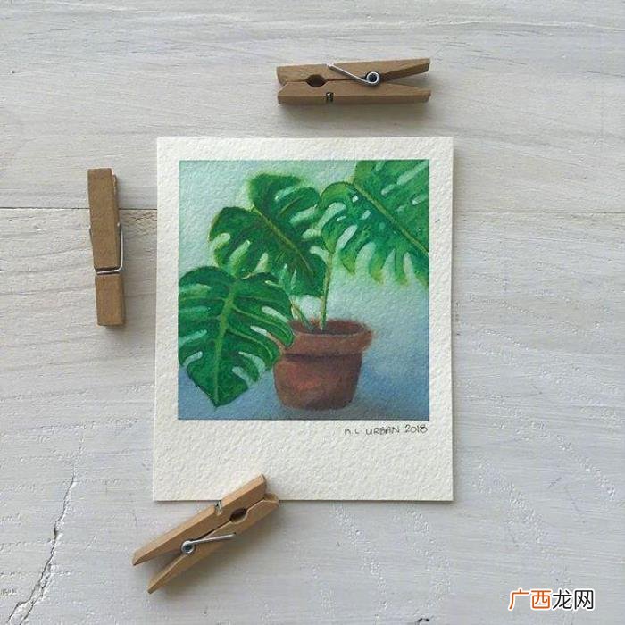 一个人生活的扎心语录 一个人生活的经典句子