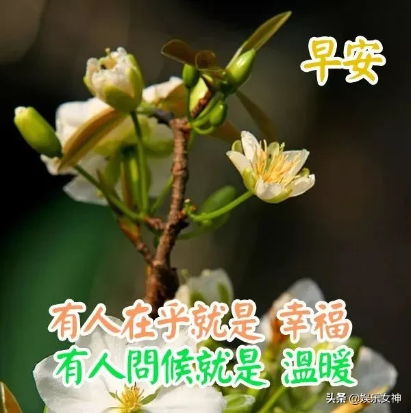 早安快乐祝福语录带字图片 开心图片带字说说