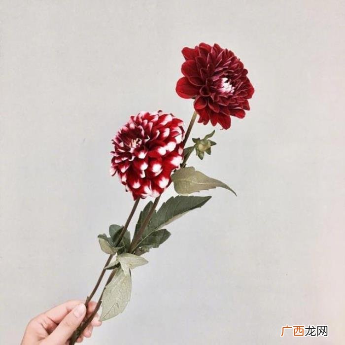 让你瞬间成长的24句话 成长的句子经典语录