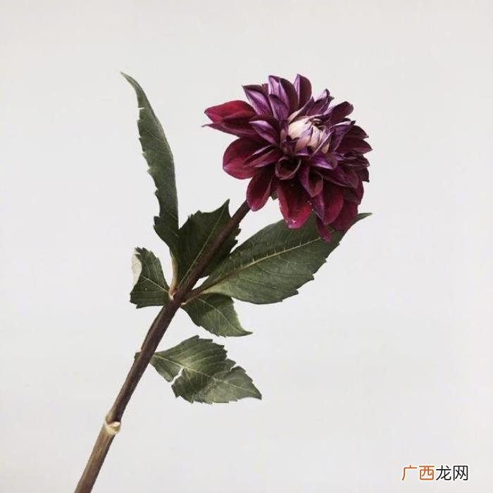 让你瞬间成长的24句话 成长的句子经典语录
