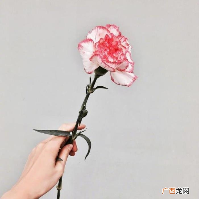 让你瞬间成长的24句话 成长的句子经典语录