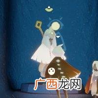 买植物花卉网站 花卉专卖网站