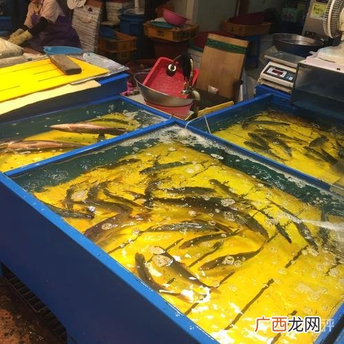 水产养殖企业简介 如何成为水产供应商