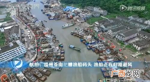 浙江赛福渔业有限公司 温州 渔业 水产