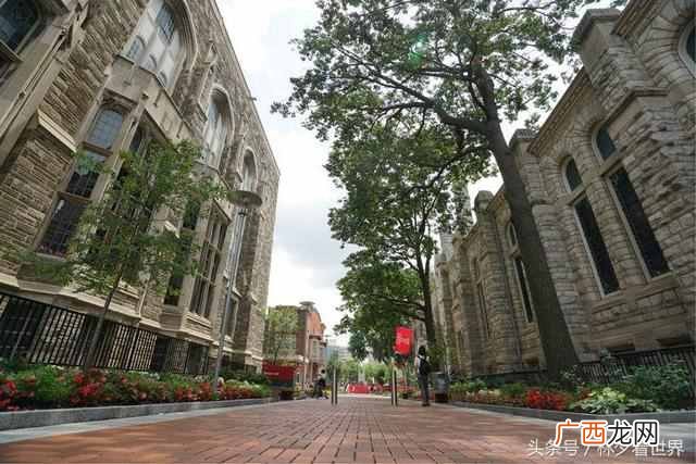 天普大学实力如何 美国天普大学创办时间