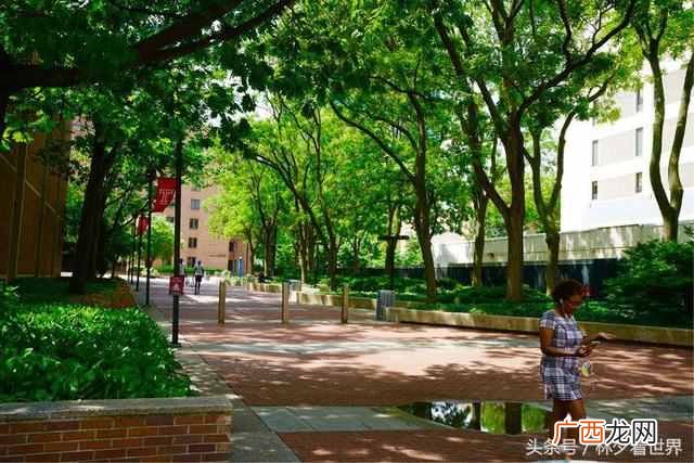 天普大学实力如何 美国天普大学创办时间