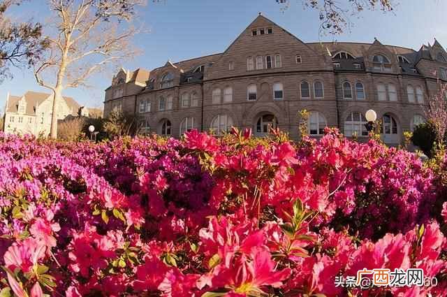 杜兰大学入学分数多少 杜兰大学在哪个国家