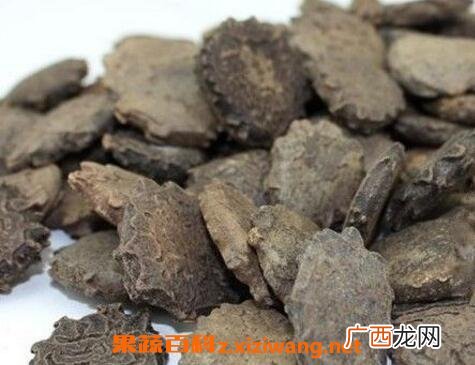 木鳖子的功效与作用及药用价值