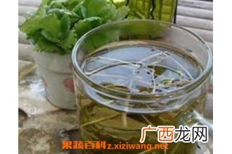 蒲公英泡水喝有什么功效
