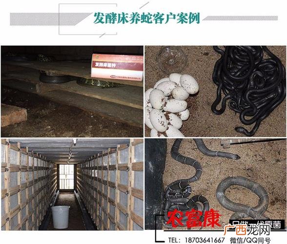 发酵床配方比例 发酵床技术要点