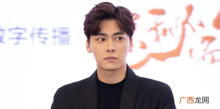 李易峰谍战片有哪些，李易峰谍战剧口碑佳