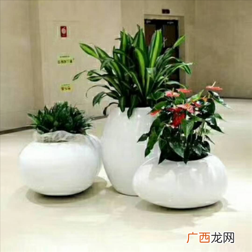 绿植租赁公司 山东绿植花卉租摆