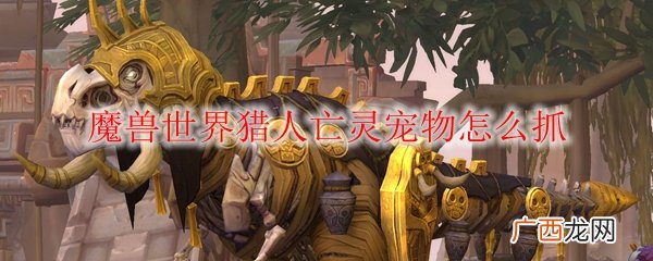 魔兽世界猎人亡灵宠物抓取方法