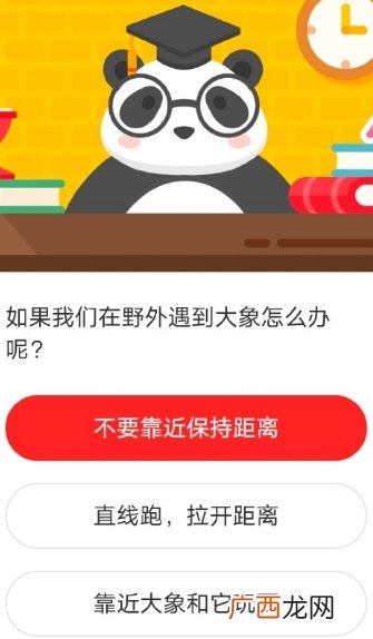 森林驿站如果我们在野外遇到大象怎么办呢