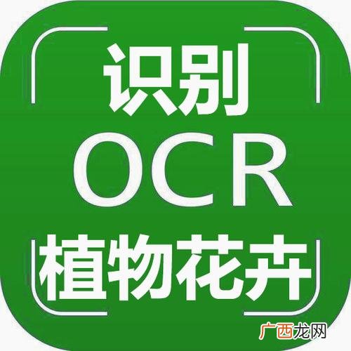 室内花卉租摆 在线花卉