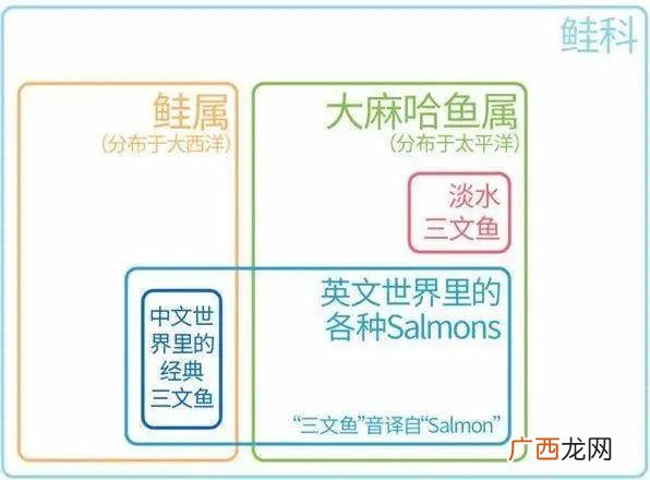 全世界养殖企业,全球养殖企业市值排名