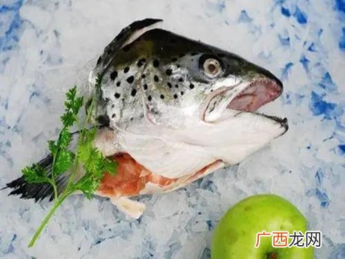全世界养殖企业,全球养殖企业市值排名