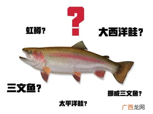 全世界养殖企业,全球养殖企业市值排名