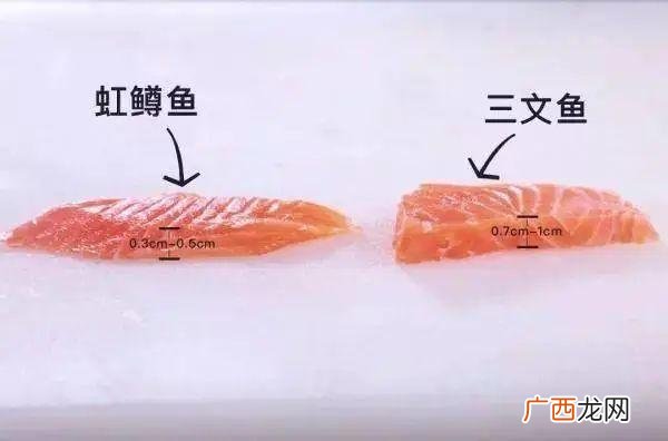 全世界养殖企业,全球养殖企业市值排名