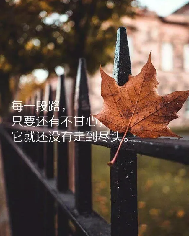 朋友圈说透人心的句子 下雨的句子