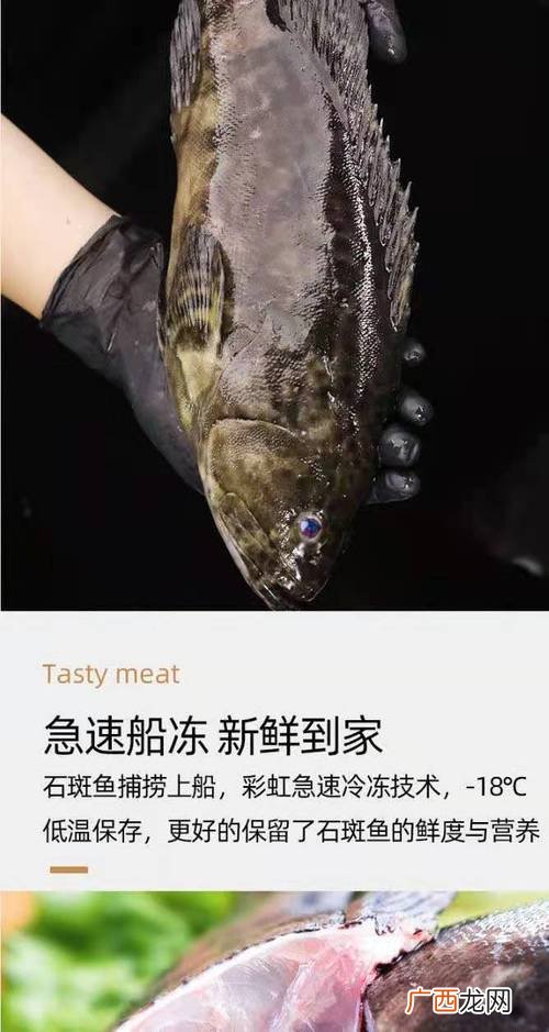 龙胆鱼的养殖方法和注意事项 珍珠龙胆水产养殖
