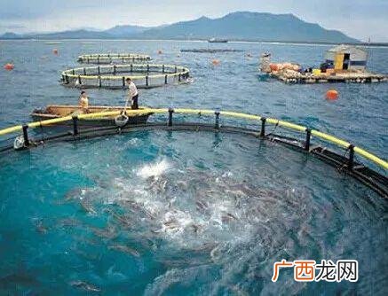 水产养殖技术大全 有关于水产养殖的网站