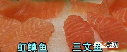 中国水产流通与加工协会招聘 中国水产流通与加工协会成立于