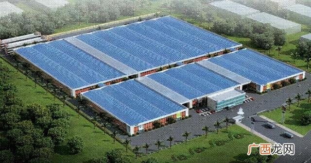 纸巾抽纸十大品牌 卫生纸十大名牌排行榜