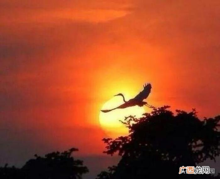 18句唐诗宋词描写夕阳唯美诗句 描写晚霞的诗句
