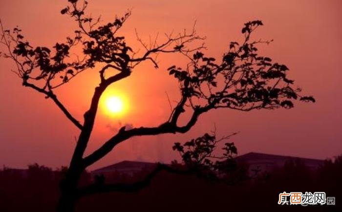 18句唐诗宋词描写夕阳唯美诗句 描写晚霞的诗句